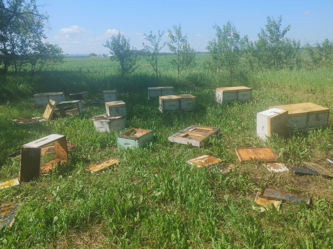 2021 Season photo 52